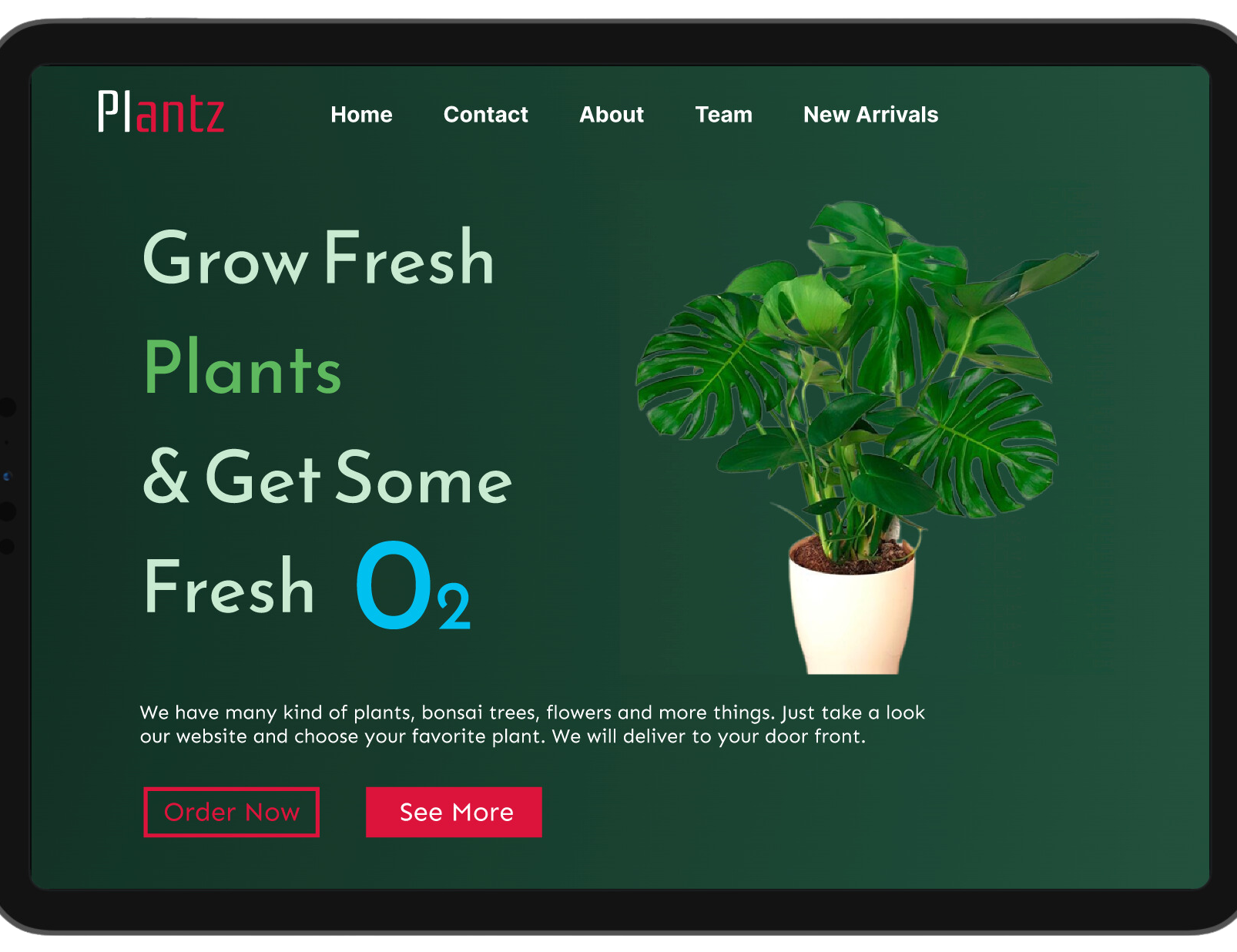 Plant Shop UI & Furniture Shop UI Project preview 1